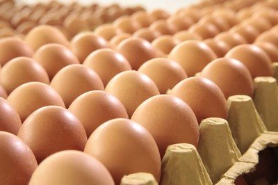 苏尼特右旗鸡蛋检测价格,鸡蛋检测机构,鸡蛋检测项目,鸡蛋常规检测